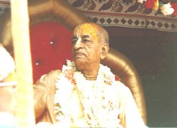 sp